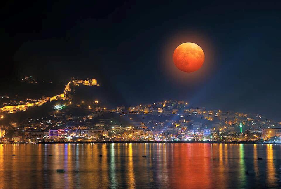 Bilkay Hotel Alanya Zewnętrze zdjęcie